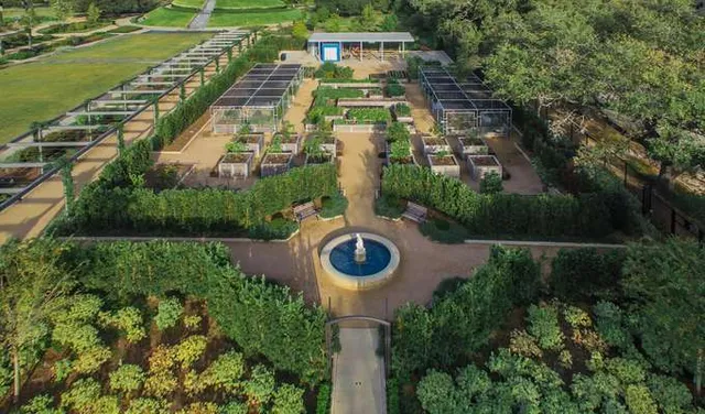 Ask a Master Gardener