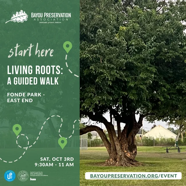 Living Roots: A Guided Walk
