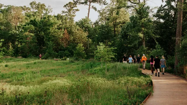 Wellness Walks at Memorial Park