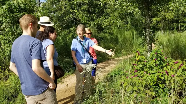 Guided Nature Hikes