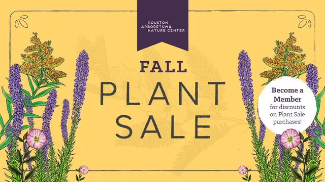 Fall Plant Sale